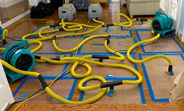 Professional Flood Damage Restoration technician working in Magnolia, AR